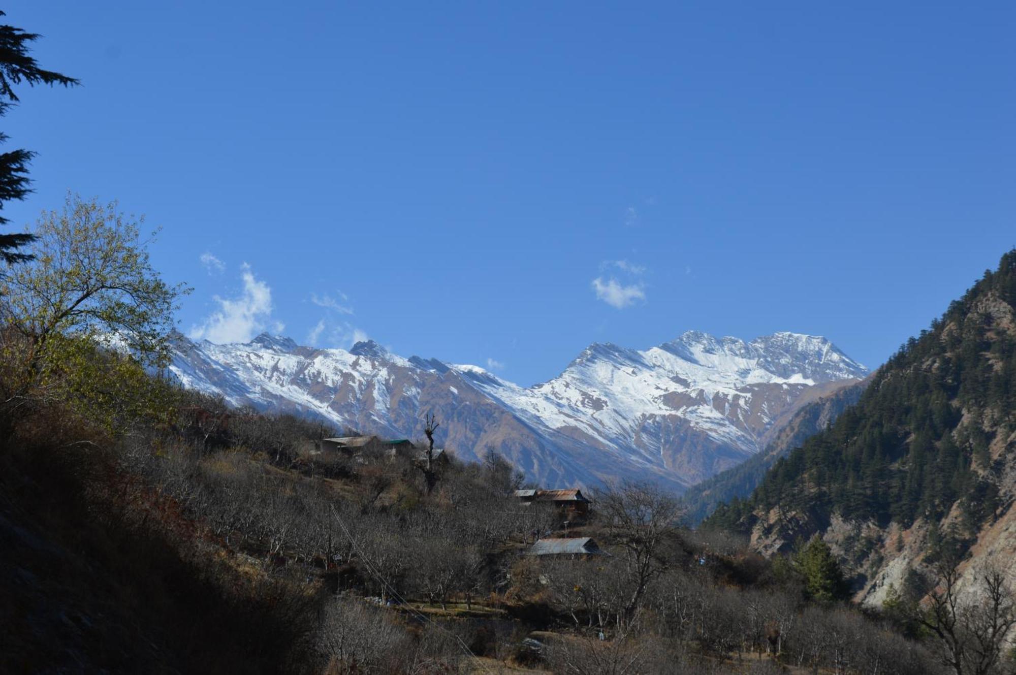 Laxmi Narayan Homestay-Harshil Harsil 外观 照片