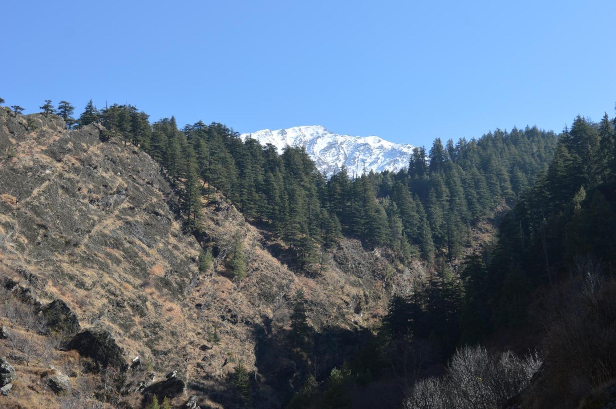 Laxmi Narayan Homestay-Harshil Harsil 外观 照片